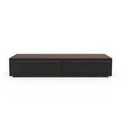 Scene Media Unit